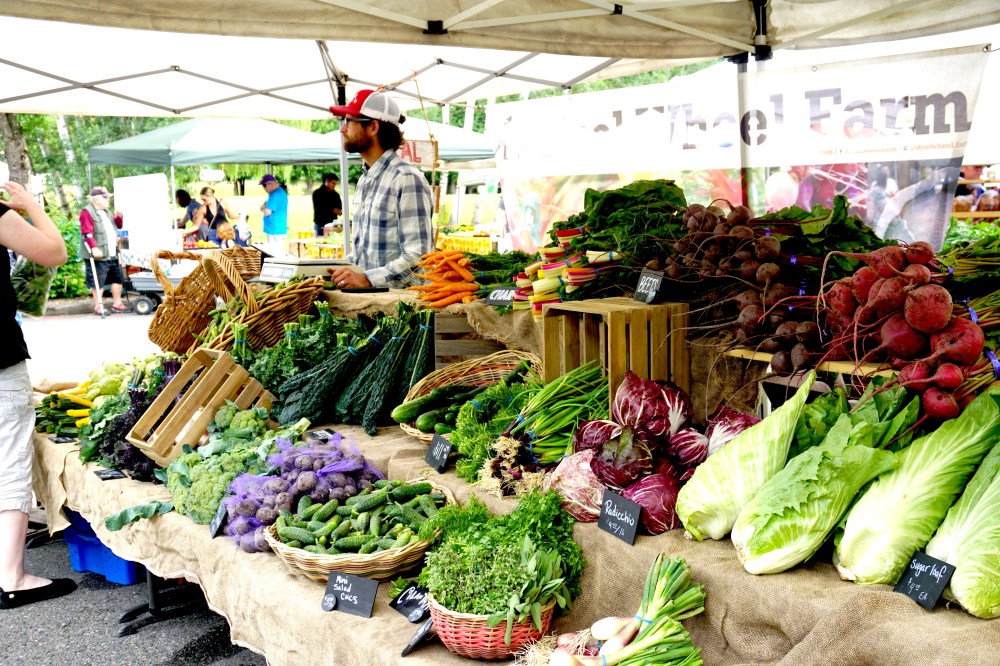 Issaquah Free-ish Summer Fun – Applies anywhere!