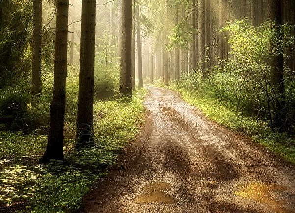Trying to maintain staying on the road less traveled…